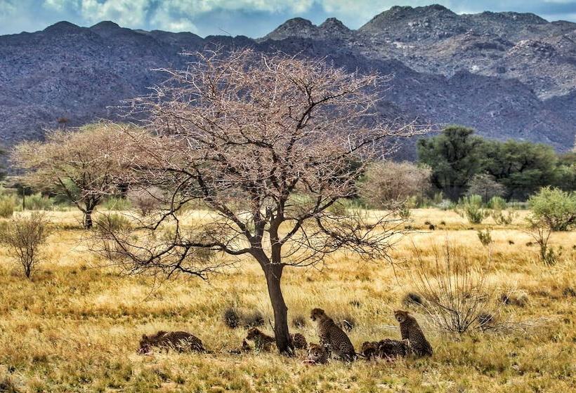 Отель Solitaire Lodge