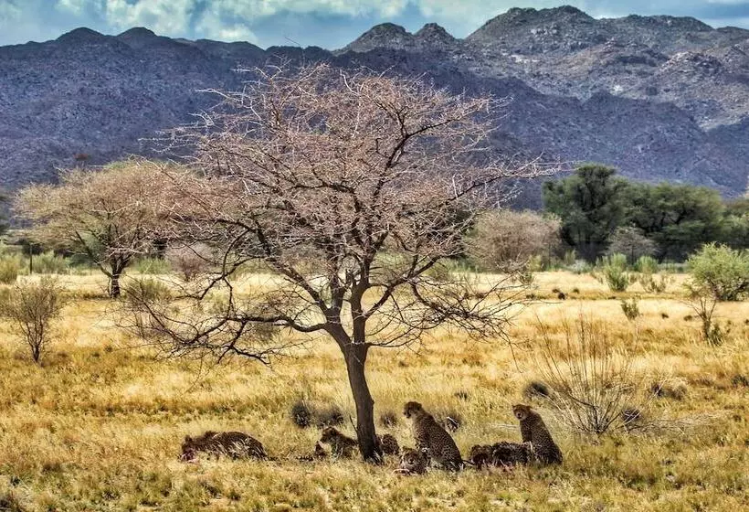 Hotelli Solitaire Lodge