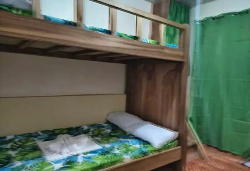 Retkeilymaja Tommy Backpackers Inn
