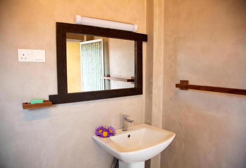 بنسيون Negombo Green Palace