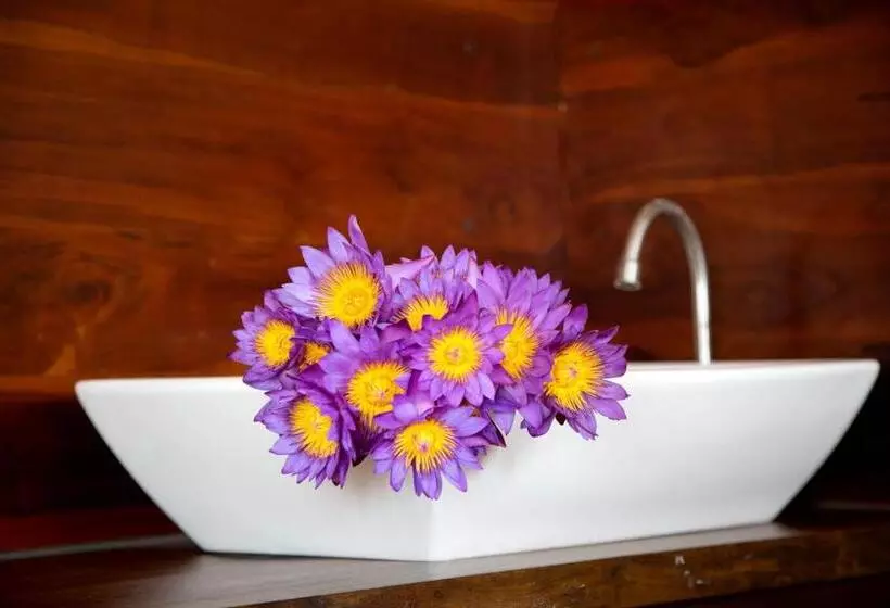 Majatalo Negombo Green Palace