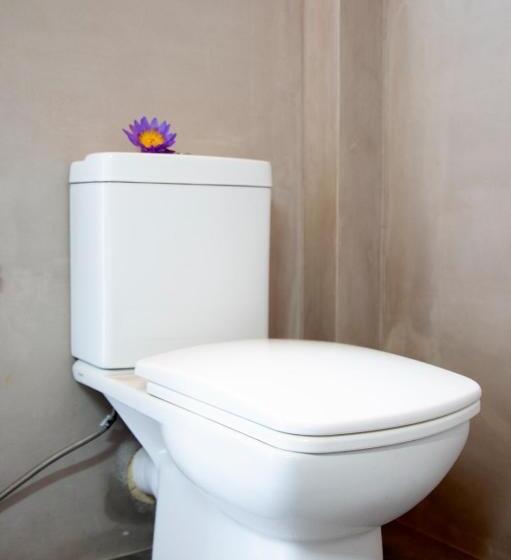 بنسيون Negombo Green Palace