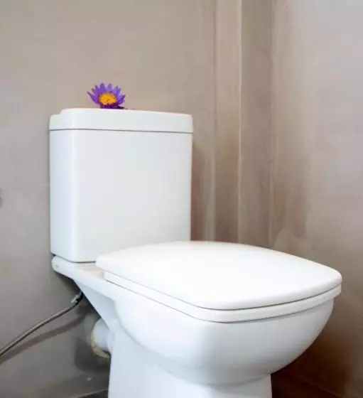 Majatalo Negombo Green Palace