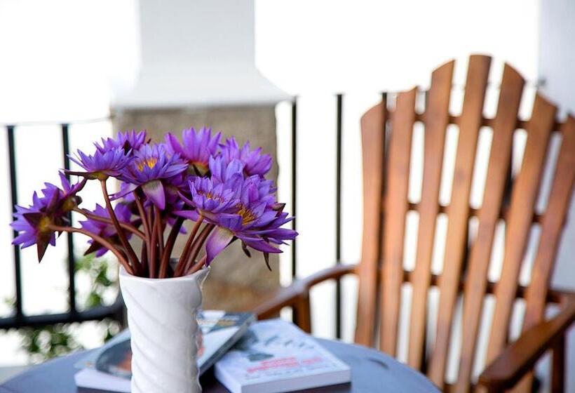 بنسيون Negombo Green Palace