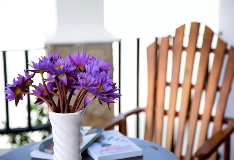 Majatalo Negombo Green Palace