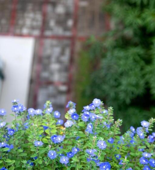 بنسيون Negombo Green Palace