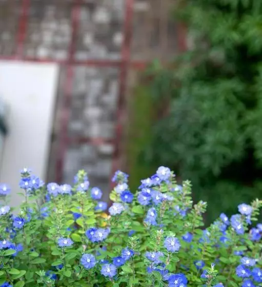 Majatalo Negombo Green Palace