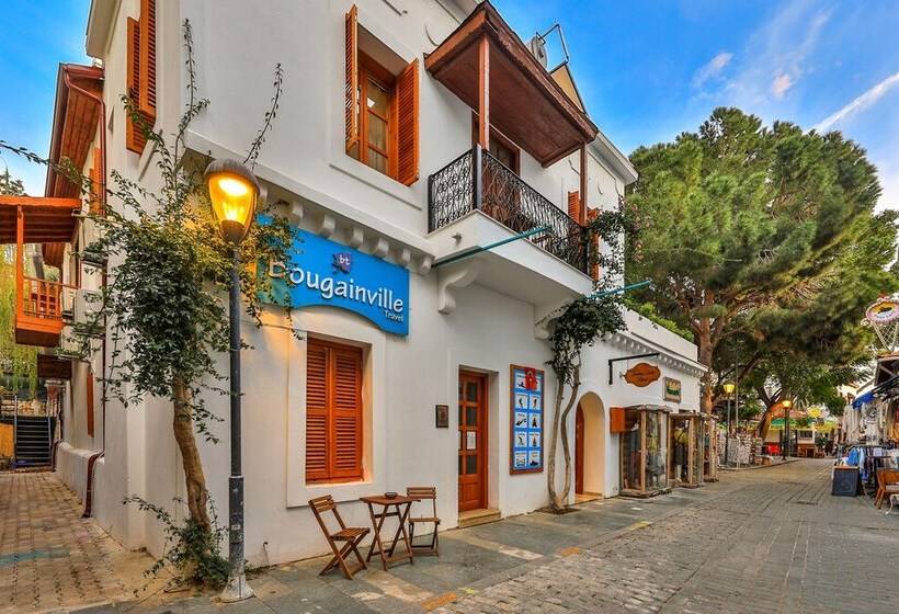 בית מלון כפרי İbrahim Serin Konagi