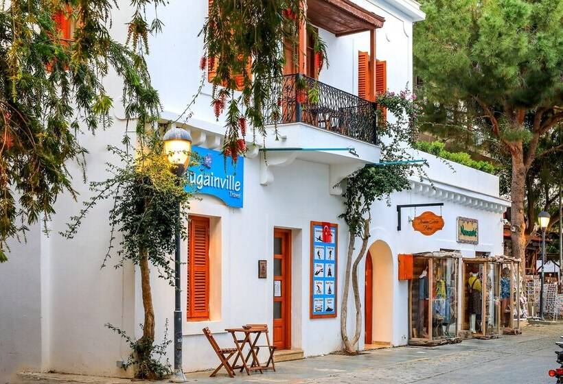 בית מלון כפרי İbrahim Serin Konagi