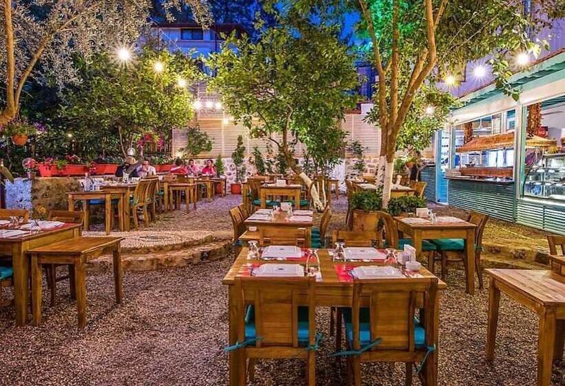 בית מלון כפרי İbrahim Serin Konagi