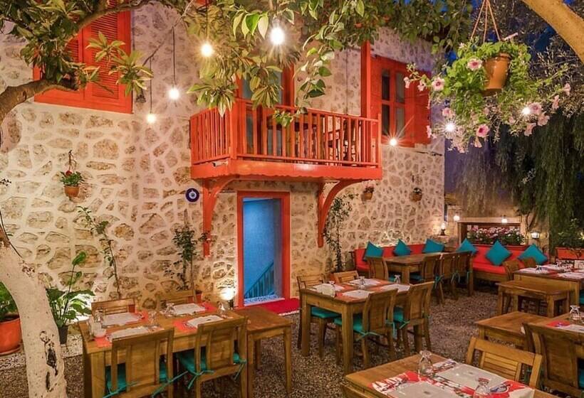 בית מלון כפרי İbrahim Serin Konagi