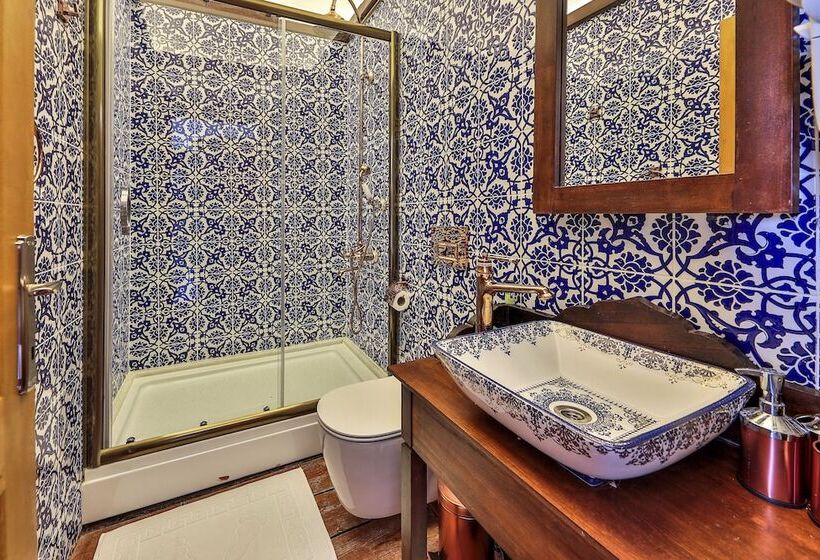 בית מלון כפרי İbrahim Serin Konagi