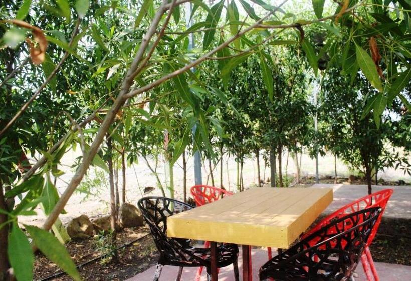 Hotel Strawberry Resort