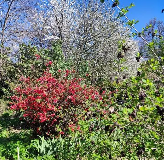 Majatalo Il Giardino Del Gallo