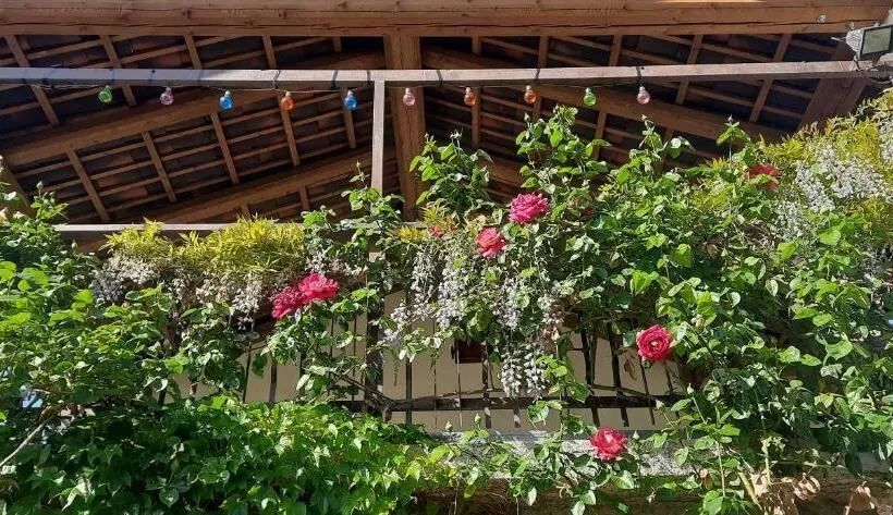 Majatalo Il Giardino Del Gallo