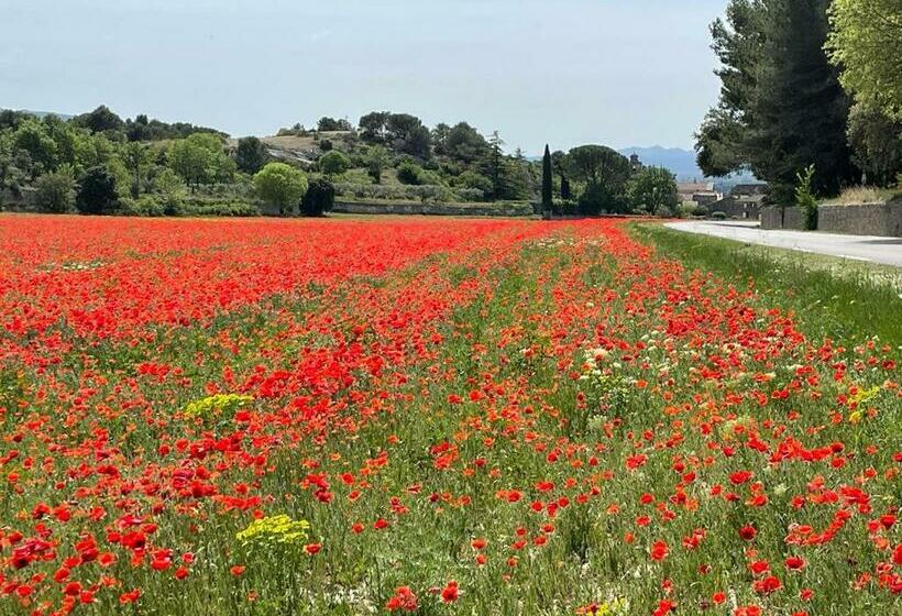 민박 Les Micocouliers