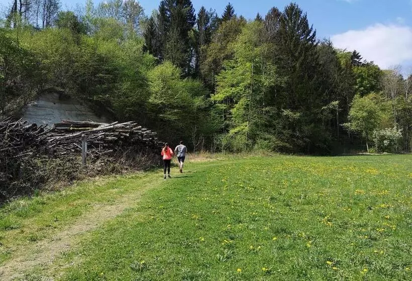 Wohlfühl Hotel Wiesenhof