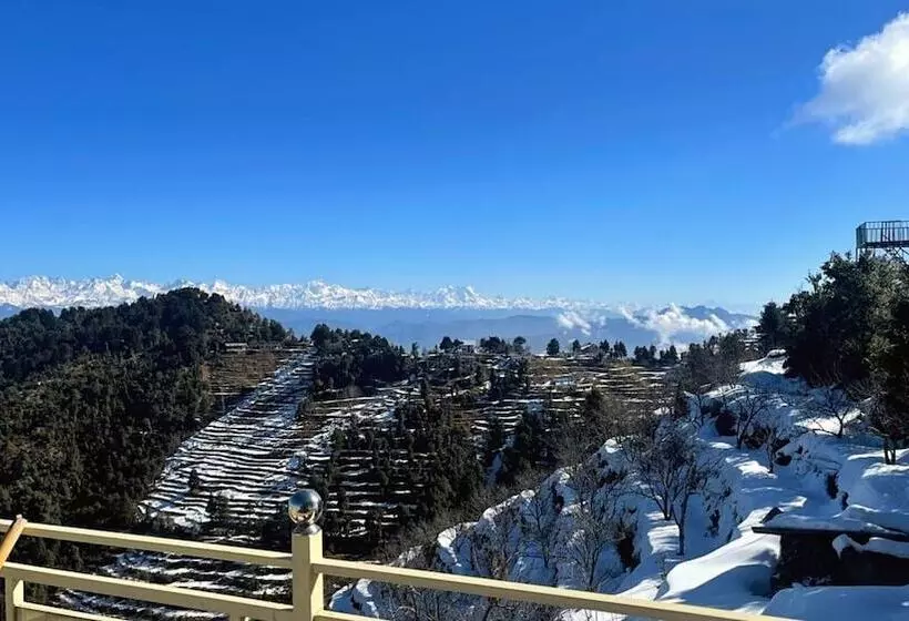 Hotelli The Royals Apricot Garden