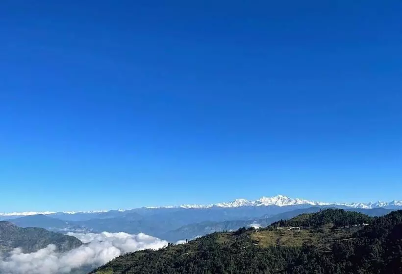 Hotelli The Royals Apricot Garden