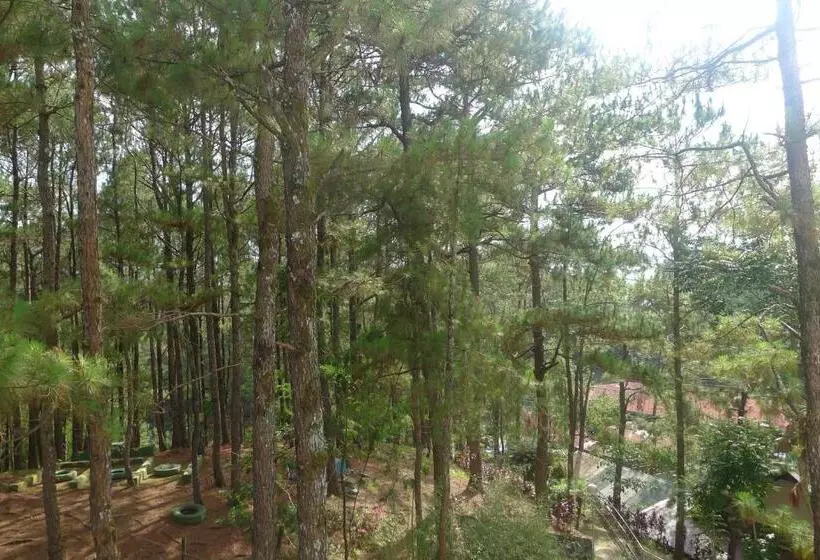 Amabel S Condo Unit At North Cambridge Baguio Condominiums 2lo