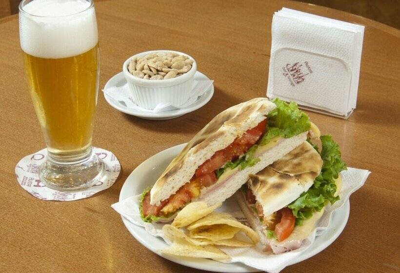 Hotel Austral Express