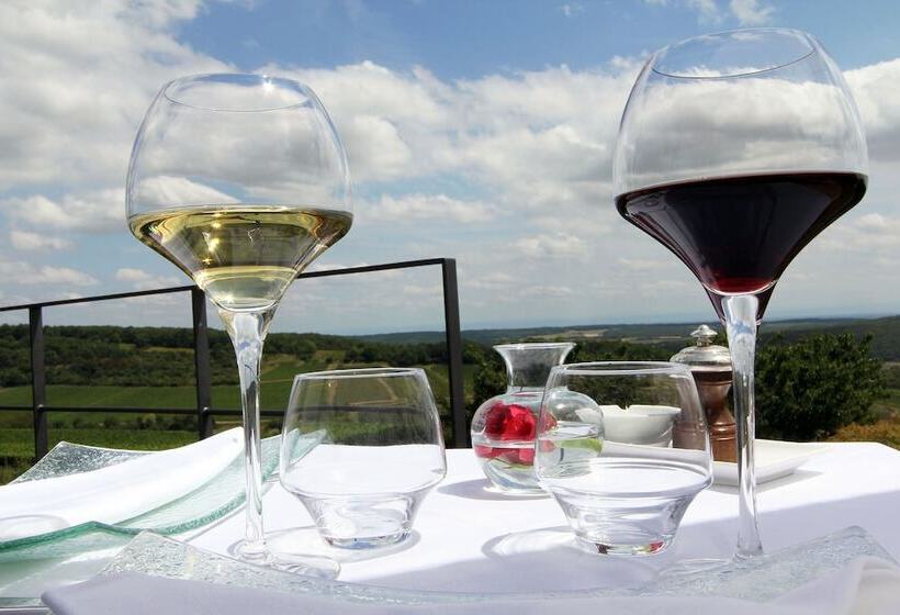 ホテル Hôtel Restaurant La Montagne De Brancion