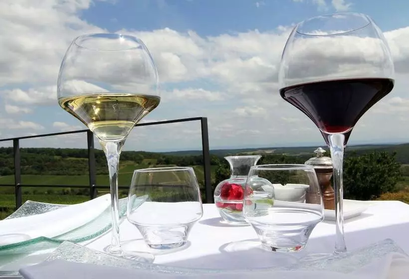 ホテル Hôtel Restaurant La Montagne De Brancion