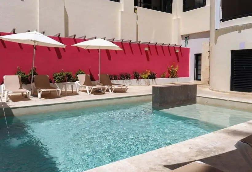 בית מלון כפרי MX portal maya