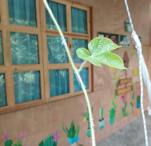 هاستل Cabañas Maná