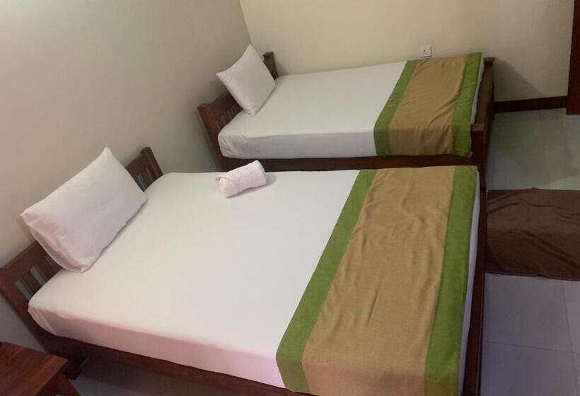 Bed and Breakfast Cinnamon Tree