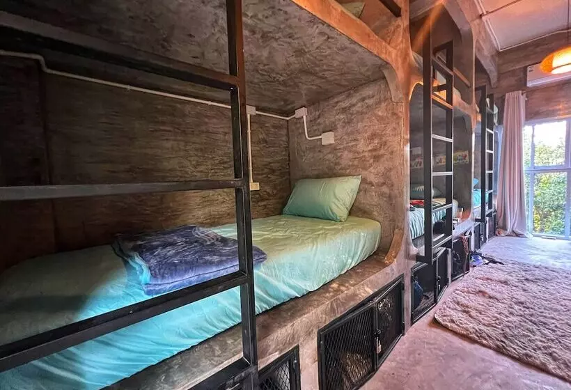 Wonderland Jungle Hostel