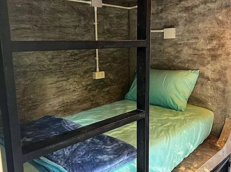 Wonderland Jungle Hostel