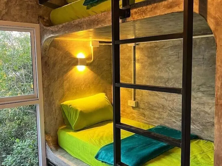 Wonderland Jungle Hostel