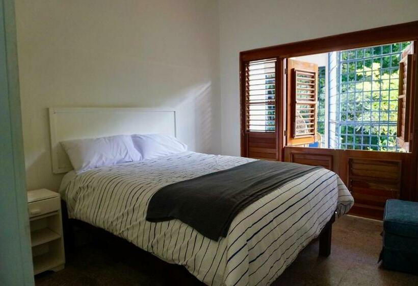 هاستل Gordon Town Kotch