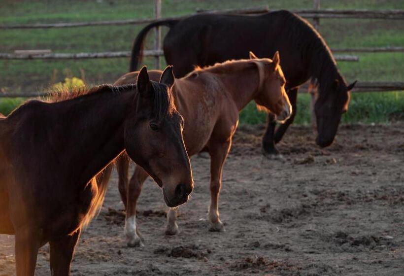 ホテル Locanda Fontelupa