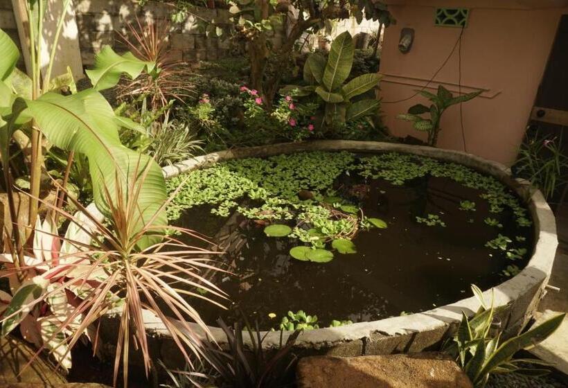 تختخواب و صبحانه Blu Vista Cottages