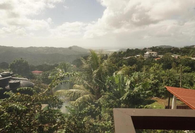 تختخواب و صبحانه Blu Vista Cottages