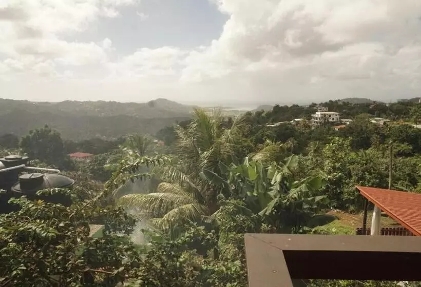 تختخواب و صبحانه Blu Vista Cottages
