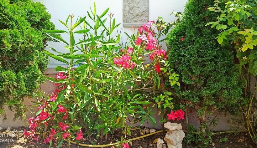 هتل хотел кантилена