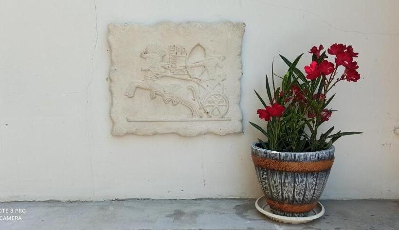 هتل хотел кантилена