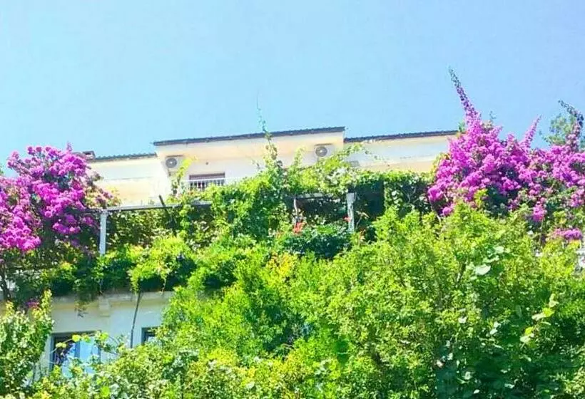 پانسیون Madra Rooms And Apartments