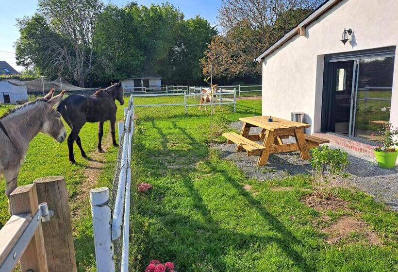 Пансион La Suite D élise