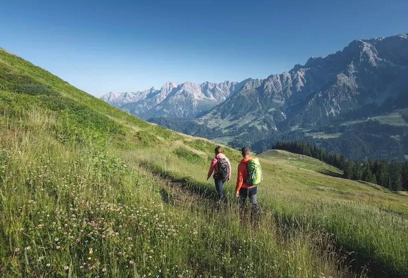 Wildbach Lodge Dienten