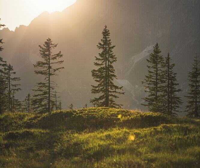 Wildbach Lodge Dienten