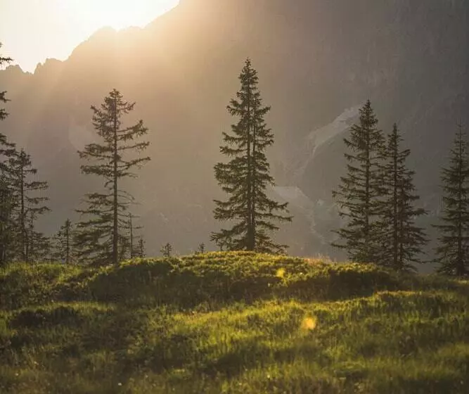 Wildbach Lodge Dienten