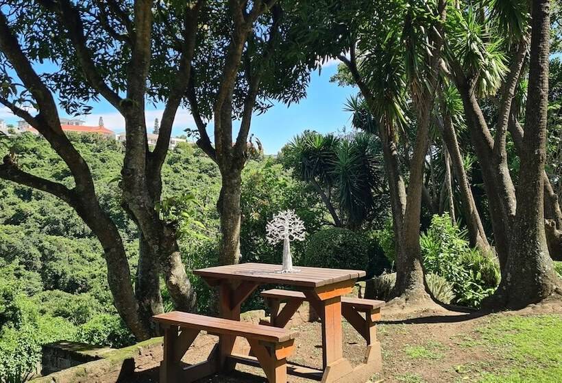 مبيت وإفطار Vincent Valley Lodge