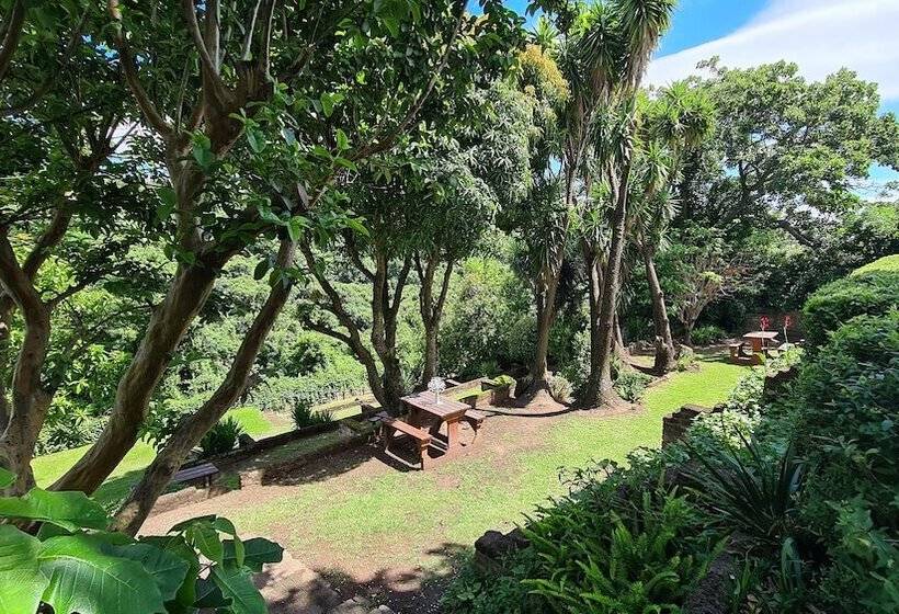 مبيت وإفطار Vincent Valley Lodge