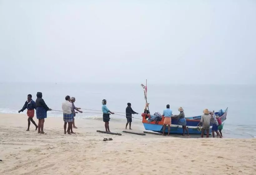 Marari Beach Bungalow Resort Alleppey