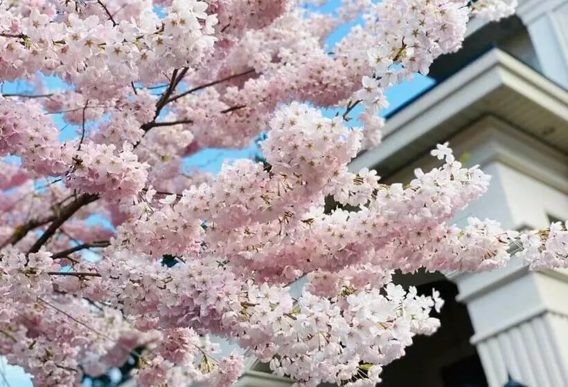 ベッドアンドブレックファースト Vancouver Shangrila House