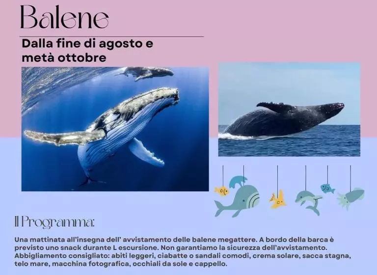 پانسیون A Casa Di Giorgia Lodge Nosy Be Andilana